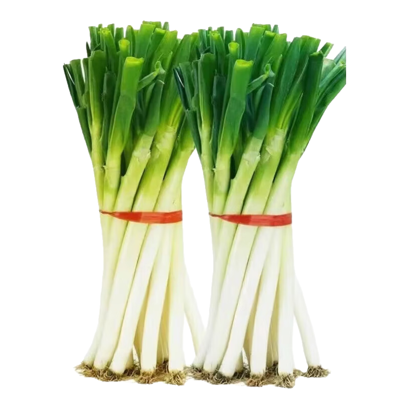 ɽ�����˴�� ����ֱ�� ����Ƥȥ��Ҷ 3�� 9.04Ԫ