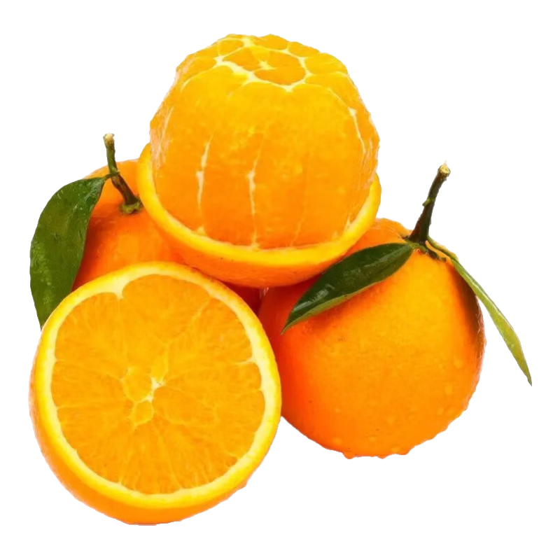 �������������Ŧ�ɶ��� ��ժ�����и�ˮ�� �ؽ���ɽ��� 3��С���Գ�װ ����2.6�� ����60-65mm 4.9Ԫ