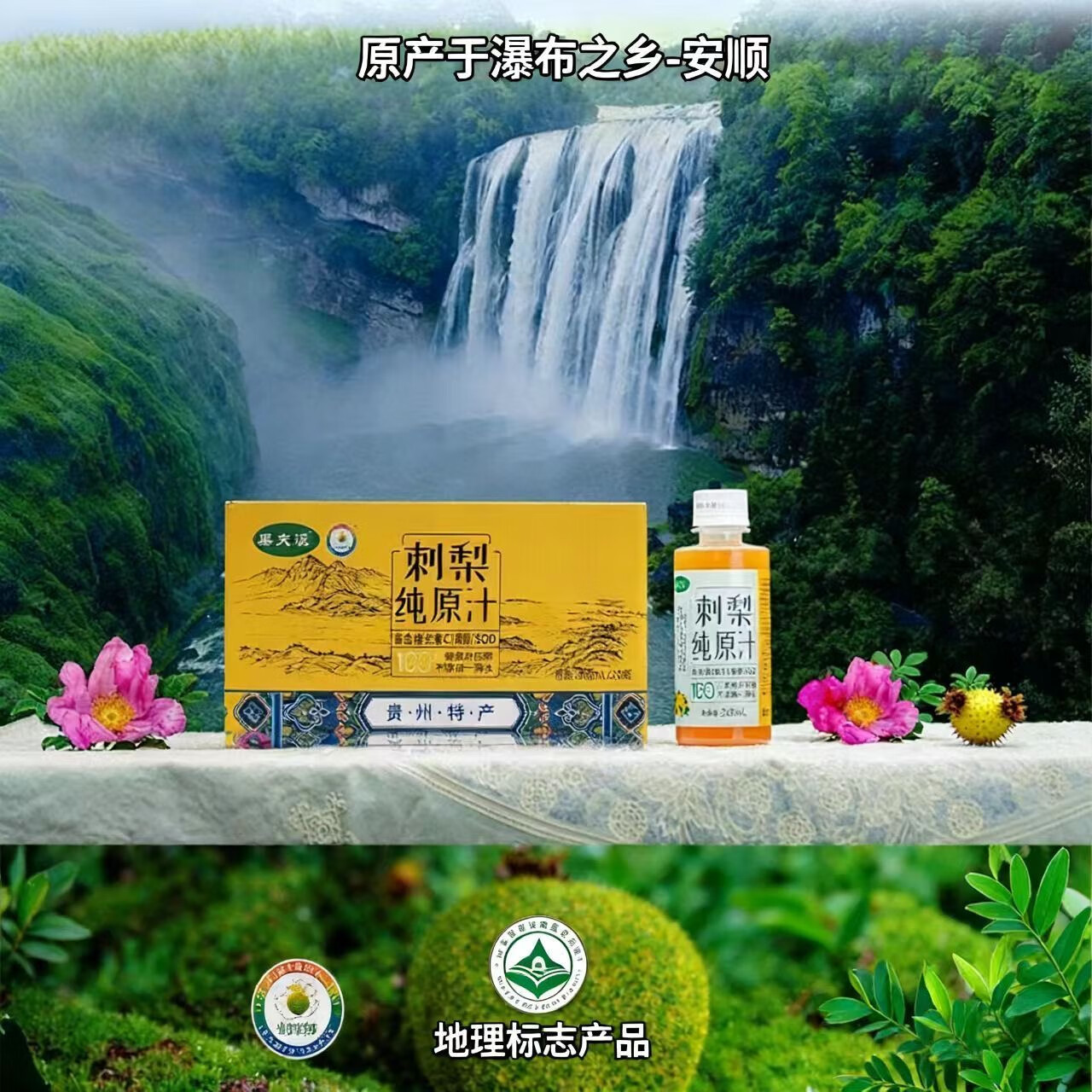 果夫派原浆刺梨汁贵州特产伴手礼深山里的刺梨纯汁一滴水都不加鲜榨原浆 200ml*6瓶