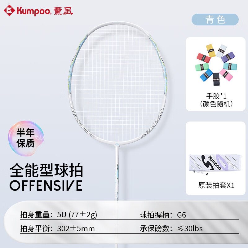 薰风（KUMPOO）羽毛球拍超轻耐打入门训练羽球拍学生单拍熏风家庭娱乐羽球拍 DS-203 白青 随机颜色线 成品拍
