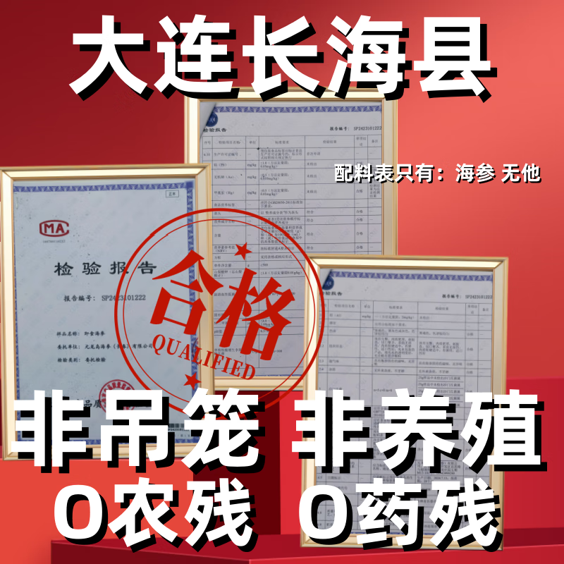 元龙岛即食海参 大连海参 辽参 长海县野生海参底播刺身 鲜食海参礼盒 鲜食海参礼盒1斤 6~10只