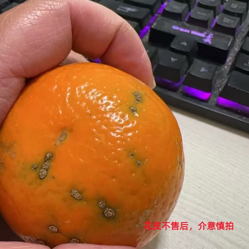 广西武鸣沃柑蜜桔子 香甜多汁橘子爱媛果冻橙脐橙耙耙柑生鲜水果 花皮果8.5-9斤60mm+(花皮不售后)