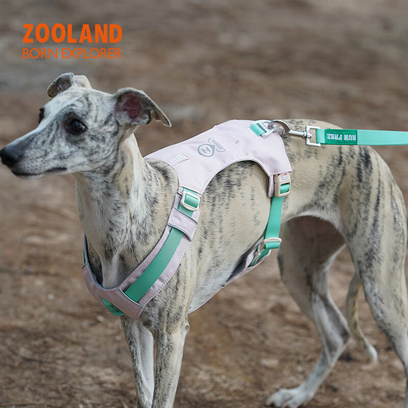 OIMG狗狗胸背牵引绳子遛幼小中大型犬泰迪柯基比熊边牧博美用 西瓜粉【胸背】 XXS码(胸围32-40CM)建议4-8斤