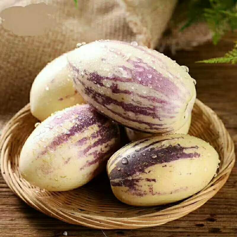 帆儿庄园人生果人参果(参)长生果新鲜水果孕妇水果生鲜应季孕妇水果