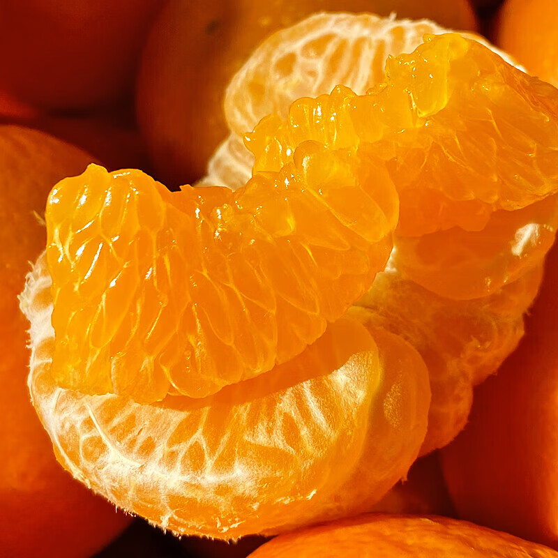 薏品甄鲜广西武鸣沃柑新鲜上市 鲜嫩化渣高糖低酸 现摘现发新鲜直达 60mm+净重8.5斤