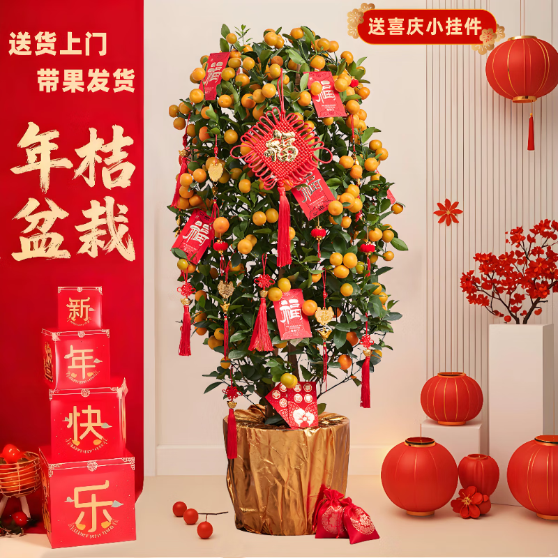 ����ˮ�������������۴�����������ϲ���в��ļ�������������װ����ֲ ��80-90cm���� 244Ԫ