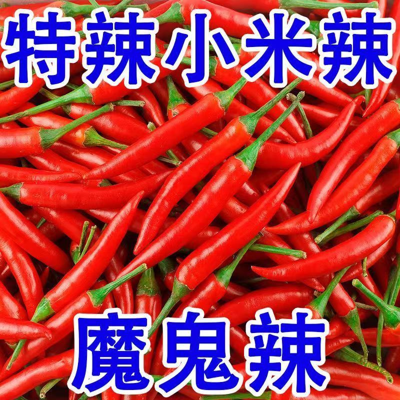 新鲜采摘贵州小米椒餐饮巨辣朝天椒指天椒特辣小米辣可做泡椒剁椒 品质尝鲜【巨辣1斤】爆辣小米椒 京东折扣/优惠券