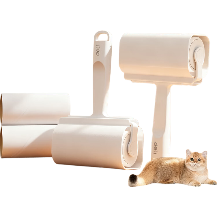 ���� ճë�� 60˺* 1�� 6Ԫ