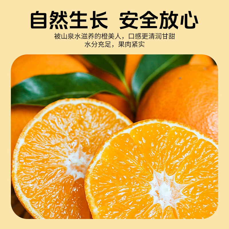 馋果野精品爱媛果冻橙新鲜橙子水果甘平产地直采当季水果时令整箱0催熟 精品巨无霸【10颗礼盒装】