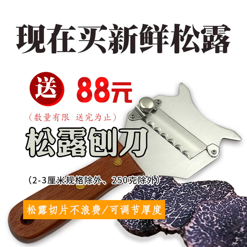 高原云品【全黑全成熟】黑松露新鲜 家宴美食  航空速达 全黑全成熟 2-3cm 500克（送礼品袋）