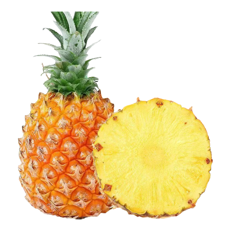 �㶫���� ��ˮ���� ����ˮ�� �и����� ��ѡ1��װ ����1.3��+ ������ݰ��� 1.99Ԫ(����ȯ)