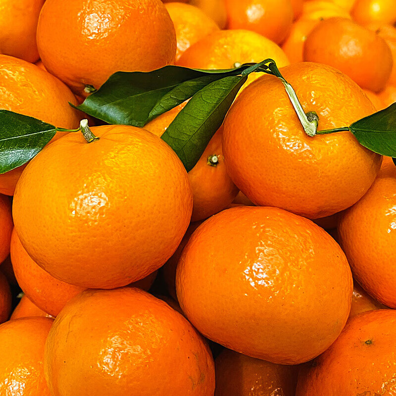 【果盘必备】精选广西武鸣沃柑 新鲜橘子当季新鲜水果酸甜风味 沃柑(花皮果)【净重8.5斤+60mm+】