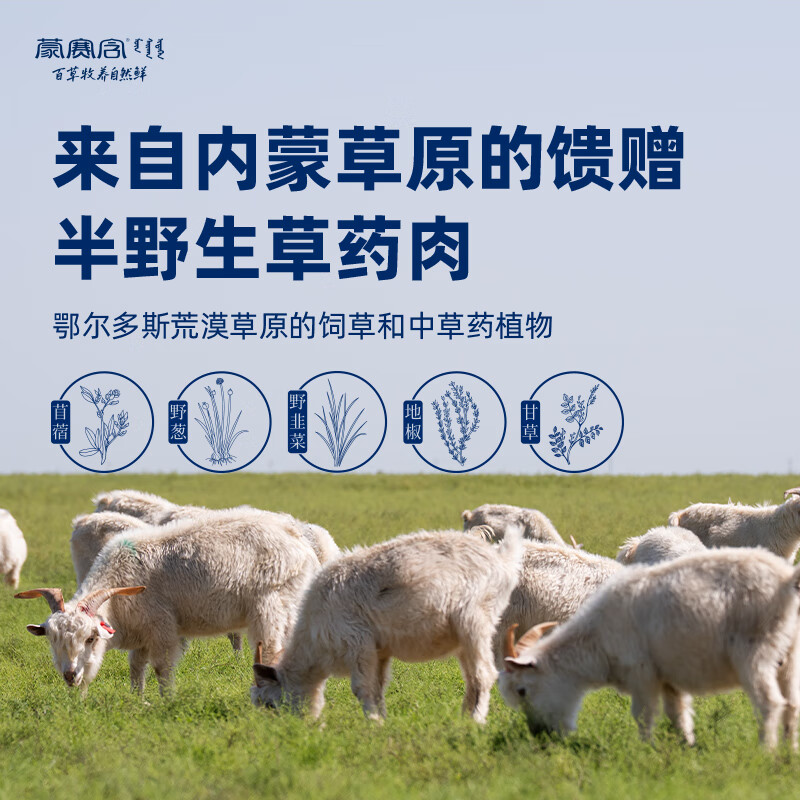 蒙赛含 阿尔巴斯山羊肉 原切羯羊带骨肉块1kg 羊汤骨煲 生鲜羊肉手抓肉 2斤