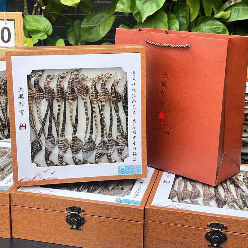 春节礼盒 海马干 礼盒 正品溯源男性补营养煲汤材料泡药酒药材 约(2-3克/条) 50g*1盒