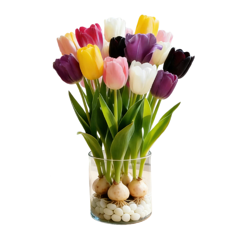 ���ڲ��������ź�����������������ˮ��ֲ�����ڰٺ��������ļ���������ˮ�ɻ��� �����ɫ��������1�� 8.8Ԫ