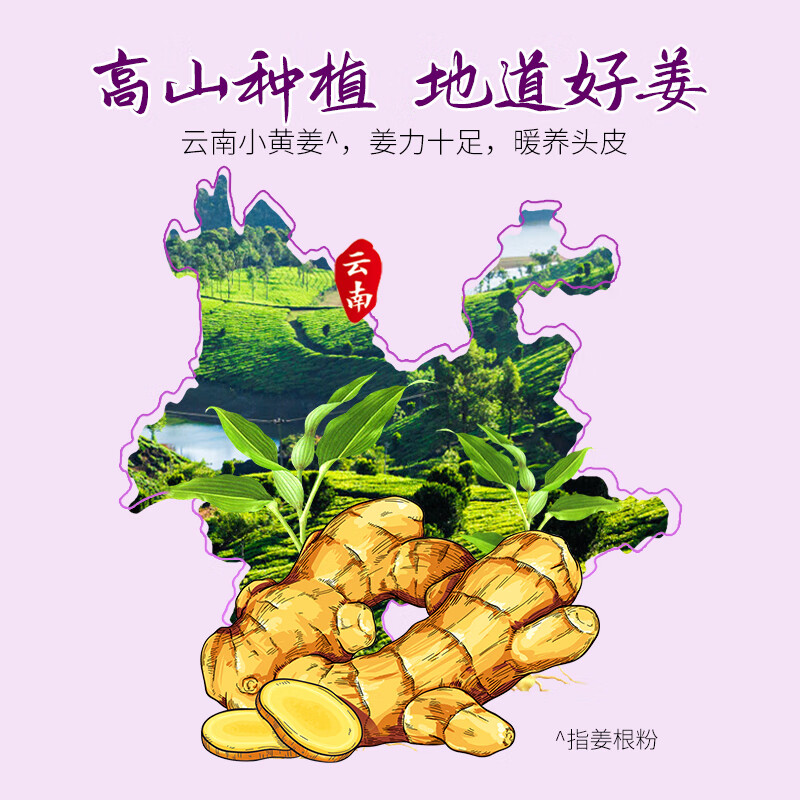 亮莊小黄姜洗发水系列丰盈蓬松清爽控油防断防分叉洗发露 丰盈蓬松洗发露500g