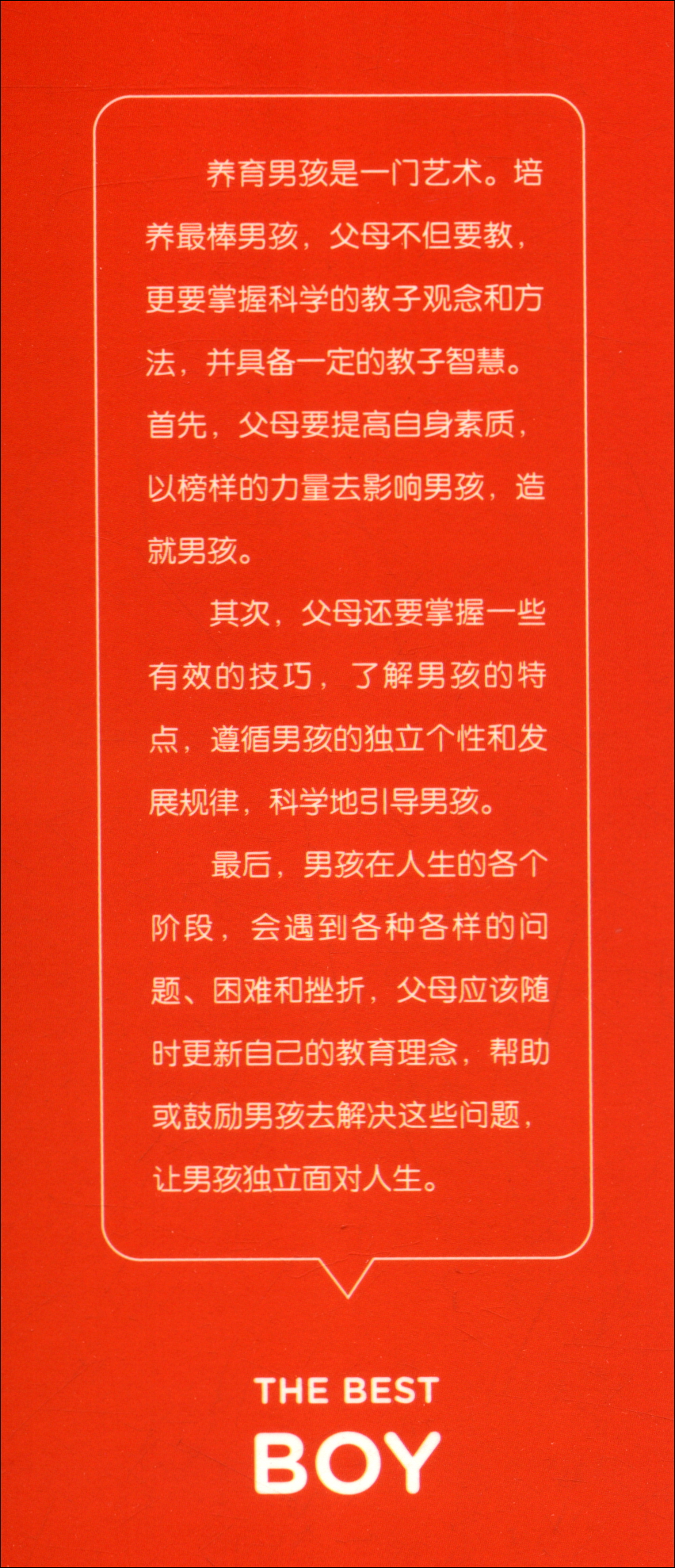 养育棒男孩 家教方法男孩成长不可不读的成长故事大开本超全内容详情图