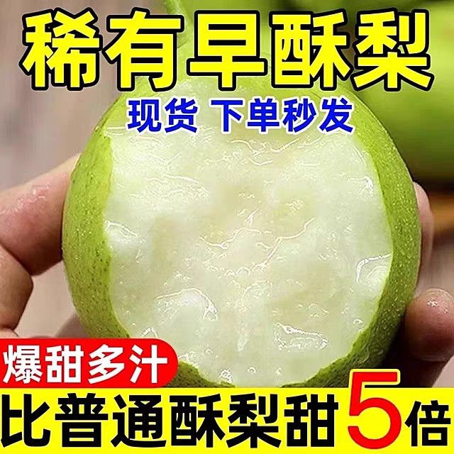 不二猩选【蜂蜜酥梨】爆甜多汁早酥梨新鲜水果青皮梨当季孕妇整箱现摘包邮 【蜂蜜酥梨】带箱9斤 净重8斤（精选大果）