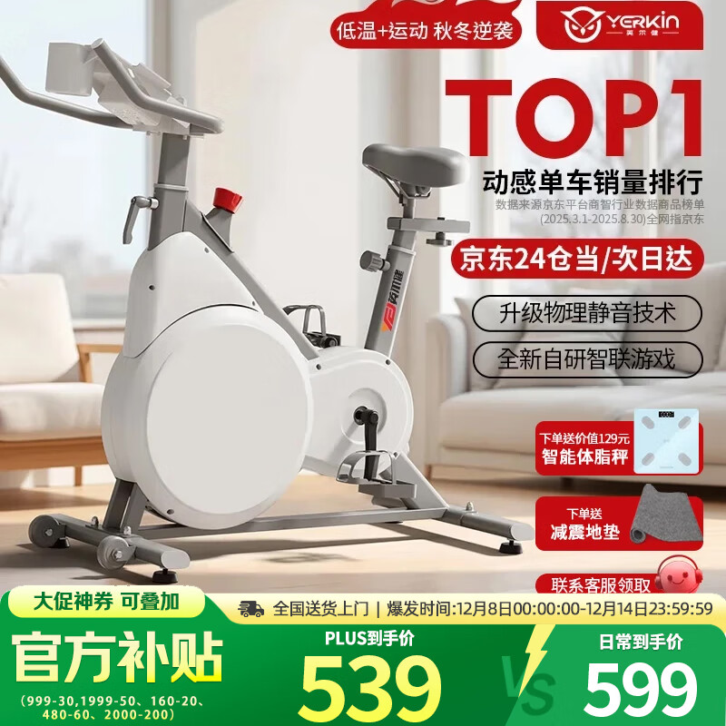 英尔健家用动感单车智能磁控静音运动减肥健身器材室内脚踏车健身单车 [进阶款]物理阻力+蓝牙对战