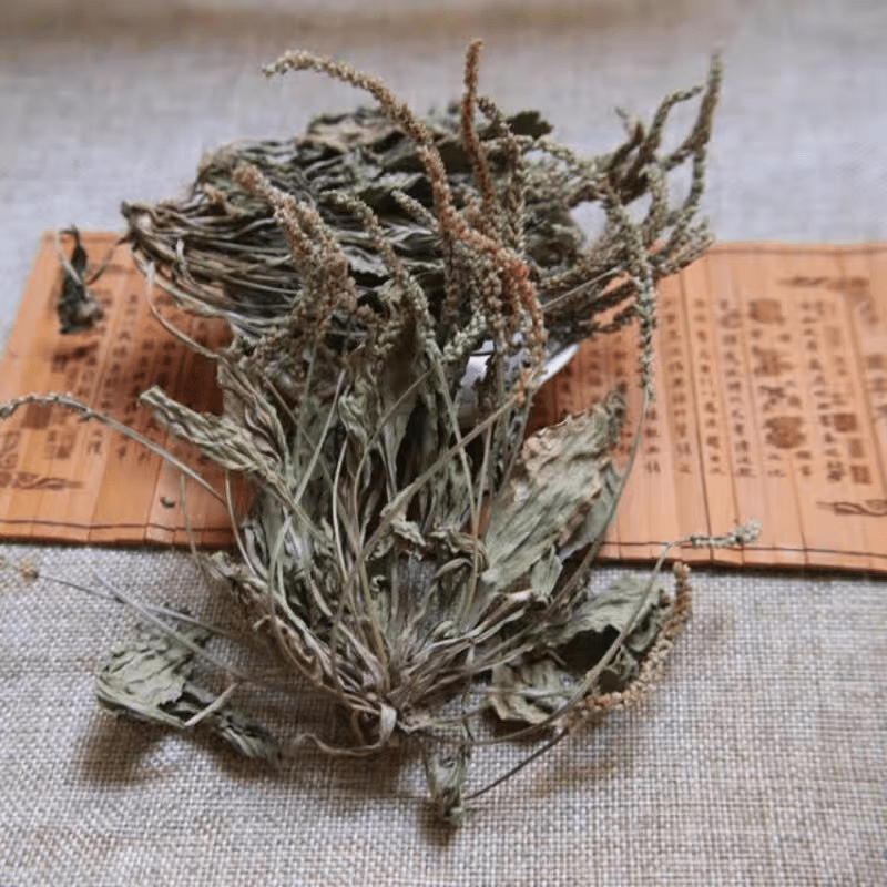 内廷上用车前草野生特级新鲜干货车前草中药整颗车钱草泡茶泡水喝车前子 车前草整株500克[干净无杂]