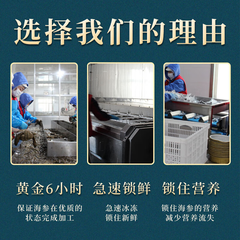 首鲜岛(SHOUXIANDAO)首鲜岛 辽宁大连9年即食海参 甄品1000g24-28只 新鲜冷冻深海捕捞辽刺参海鲜水产