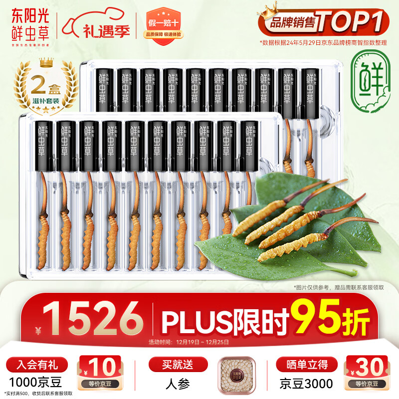 东阳光鲜虫草0.4-0.6g/根20根新鲜冬虫夏草补品送长辈老人源头直发包邮
