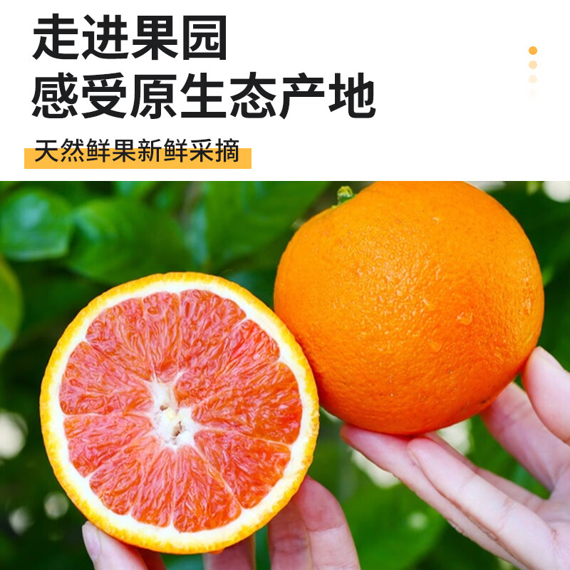 正宗江西赣南血橙生鲜水果橙子（10斤装） 净重9斤 80-95mm