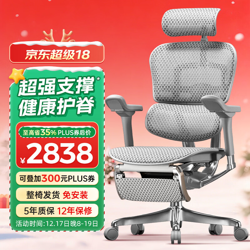 Ergonor保友金豪e2代高端人体工学椅电脑椅办公椅电竞椅子 银白网+躺舒宝