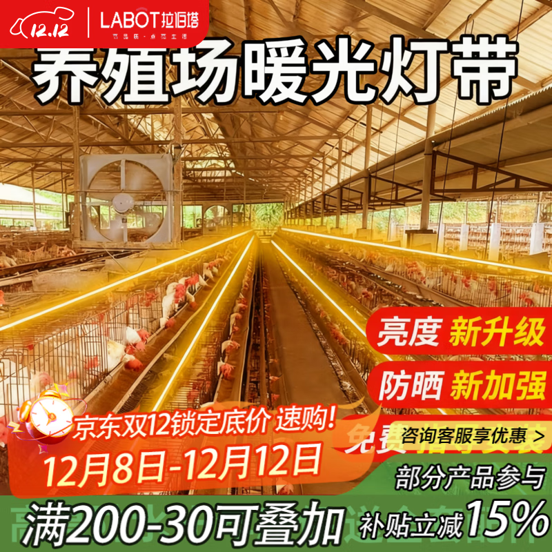 拉伯塔暖光led灯带养殖场专用户外防水220V苍蝇克星超亮照明工程亮化灯 【养殖专用性价比之王】暖光-52珠 【10米】
