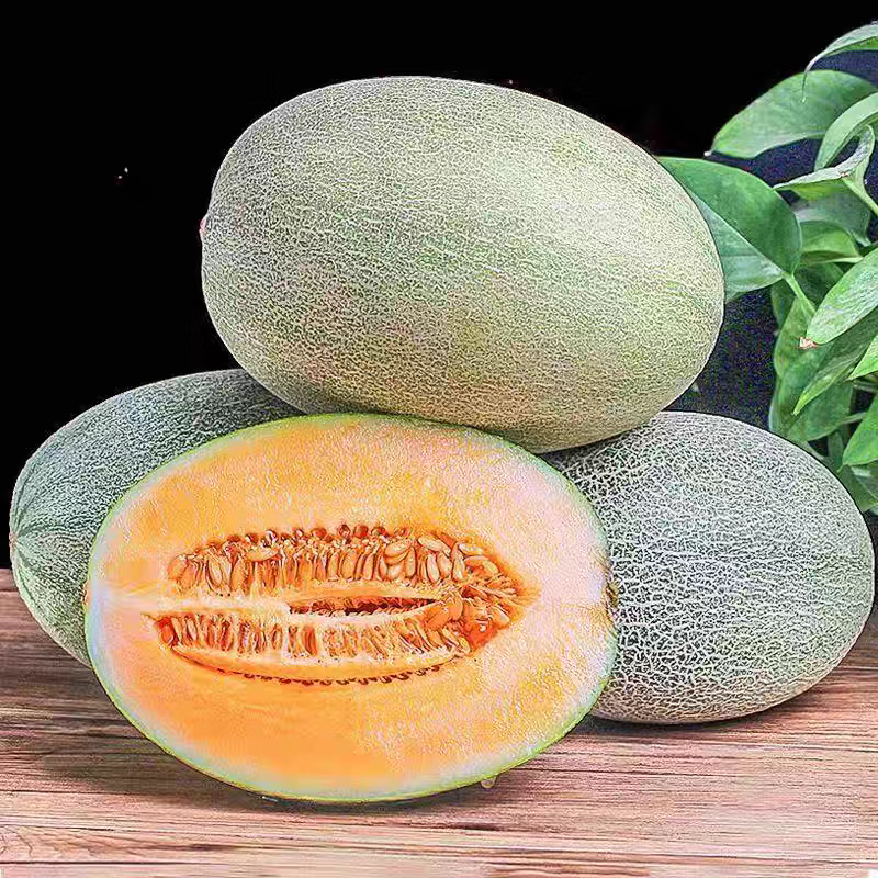 薏品甄鲜海南哈密瓜 新鲜当季水果整箱 西州蜜25号 脆甜蜜瓜 净重4.5-5斤