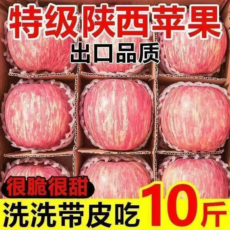 【爆甜】陕西正宗红富士苹果当季新鲜水果丑冰糖心一整箱皮薄多汁 膜袋富士70mm+带箱9斤