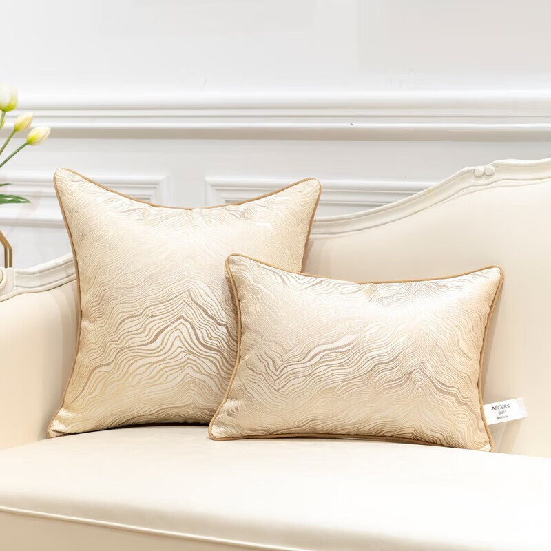 AILUKI日本轻奢感抱枕客厅沙发靠垫大靠背床上睡觉腰靠枕头套不含芯 金海岸_月光银 30cm*50cm 含枕芯