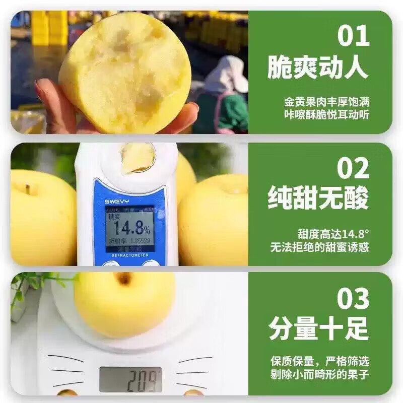 秦悦仙果鲜正宗山东黄金维纳斯苹果水果奶油新鲜整箱送礼品物盒圣诞节 净重4.5斤【单果160g+】丨很甜 【百里挑一】10年精选果