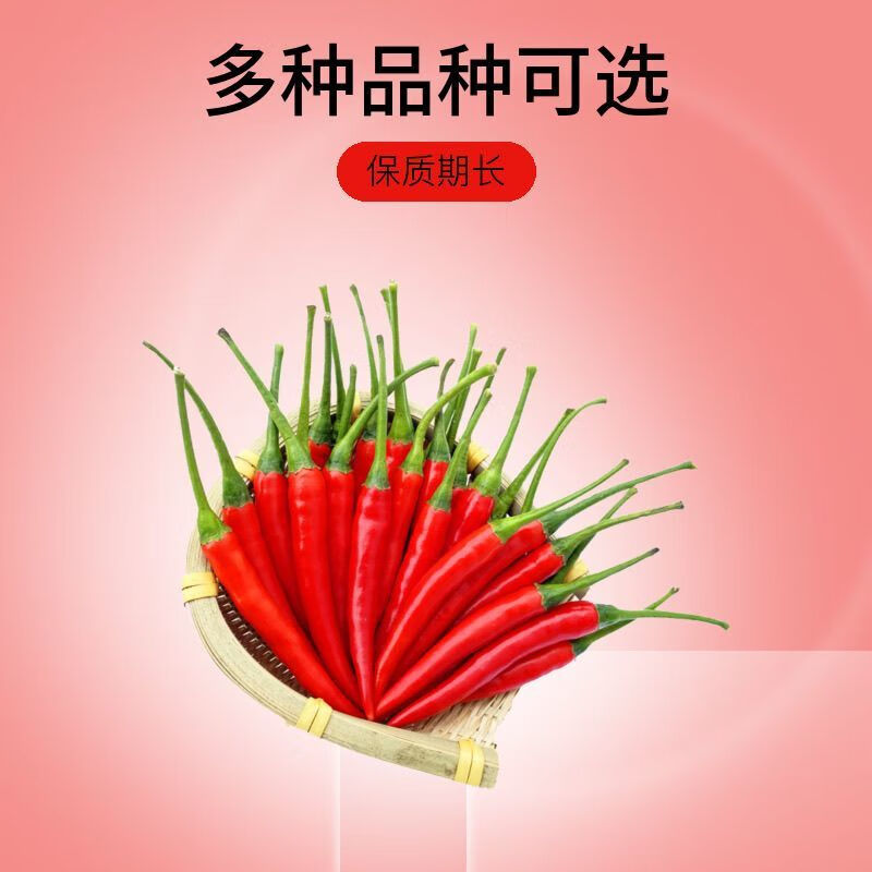 新鲜小米辣贵州特辣红辣椒辣椒小米鲜椒朝天椒魔鬼泡椒指天椒巨辣 新鲜现摘小米椒【现摘现发】 净重1斤
