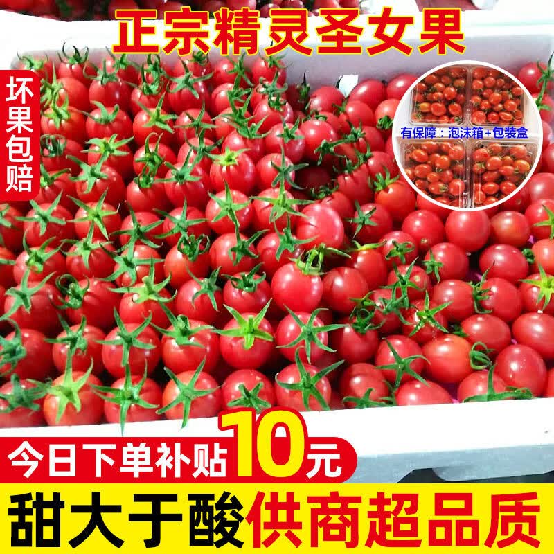 正宗现摘千禧圣女果小番茄新鲜水果当季自然熟蔬菜西红 商品规格 1斤
