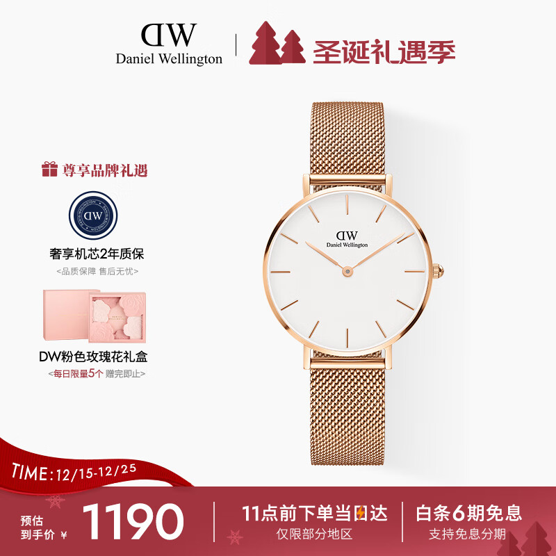 丹尼尔惠灵顿（DanielWellington）DW手表女表 简约女士手表 时尚欧美表送女友节日礼物DW00100163