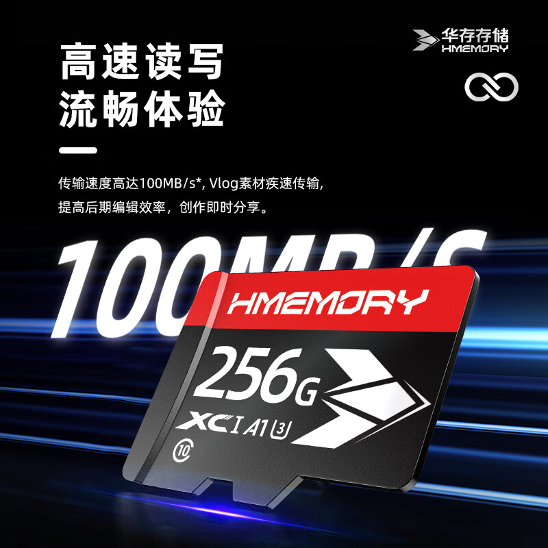 华存存储TF卡适用头戴式蓝牙无线耳机内存卡128G运动耳机收音机音箱专用高速micro sd卡 TF256G【蓝牙耳机专用内存卡】送读卡器