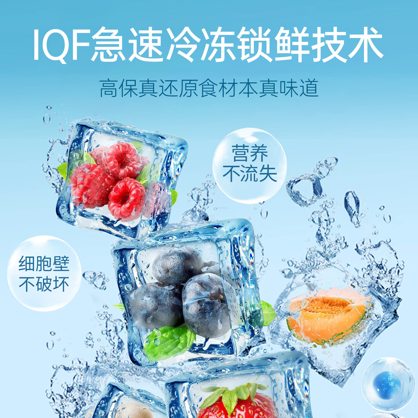 喜德农速冻鲜蓝莓山东北陆蓝莓净重2斤/包 速冻水果莓果冻果奶茶店原料 【大包装】2斤x1包速冻蓝莓