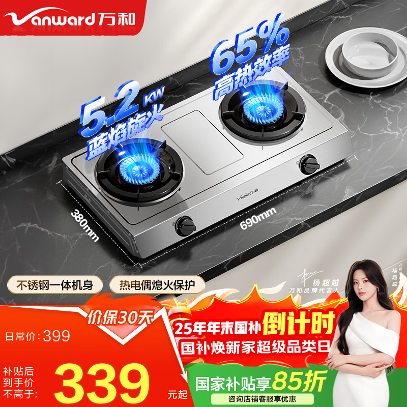 ��ͣ�Vanward����С���̨��D9�������̨ʽȼ����Ʒ�ʾ���˫��ú����ȼ�����ȫ�������65%��Ч�� ��Ȼ��  5.2KW 338.3Ԫ(������)