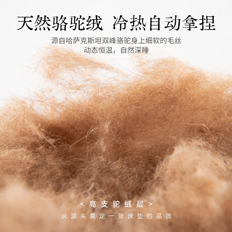 爱德华15%补贴家用独立弹簧床垫可拆卷包驼绒记忆棉双人护脊席梦思 A款：柔软承托 精准支撑 可调节睡感=22cm厚 1.2*1.9米（可拆洗-超舒适）