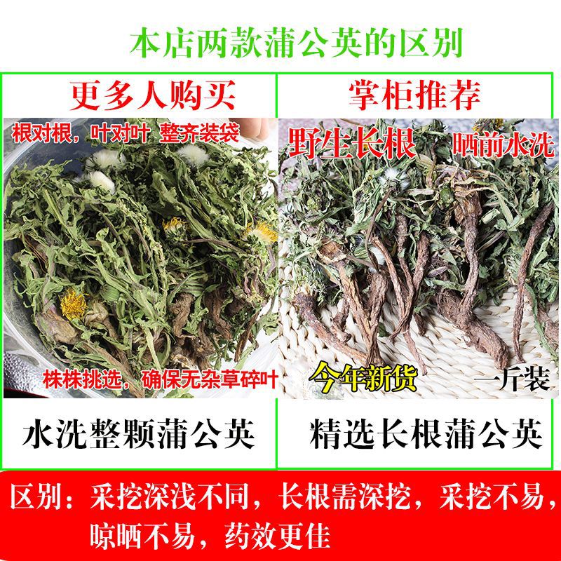 芮哲野生蒲公英茶泡水喝特天然干的级纯整棵株带老根儿中草药材新 100g带根加叶花