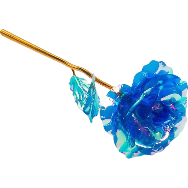 �������������߲��Ź�õ�廨�ʽ����˽���Ϧ������Ů���������� ��õ��-�ʽ���-1֦װ ������һ����������İ���õ�塿