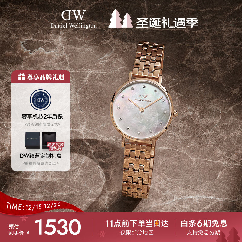 丹尼尔惠灵顿（DanielWellington）DW手表女简约时尚手表冰川白星辰手链流金表节日礼物DW00100613