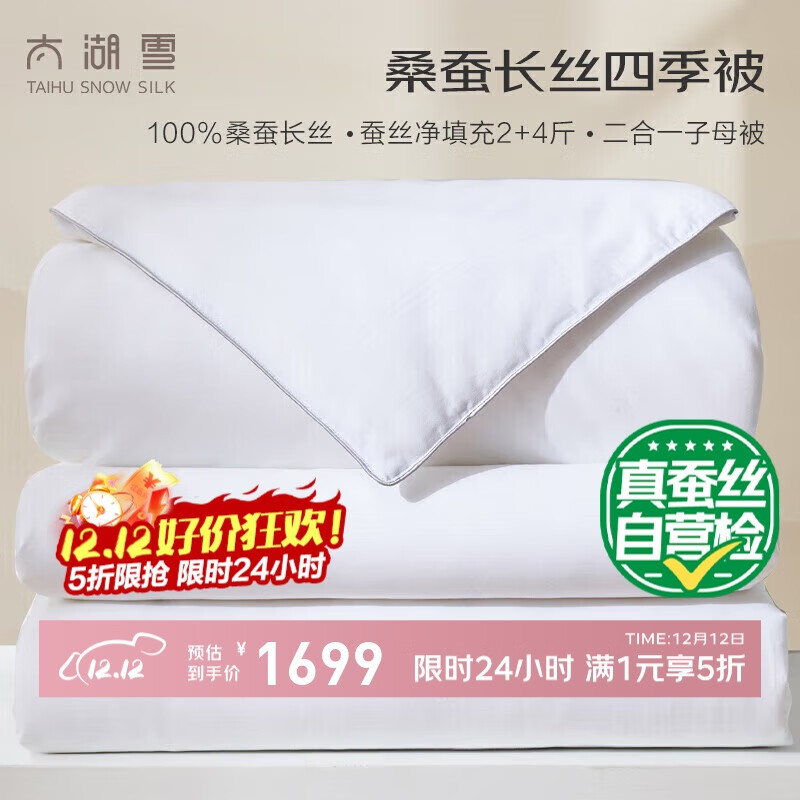 太湖雪蚕丝被100%桑蚕丝被 冬被子母被被子四季被 (重约10.6斤2*2.3m白)