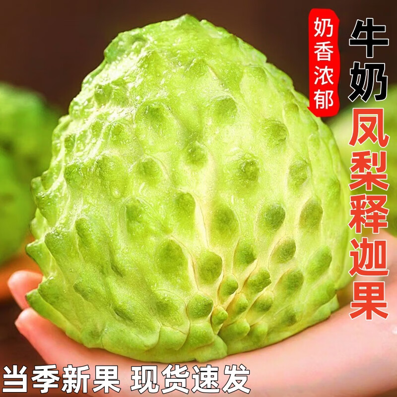 广西牛奶凤梨释迦果番荔枝【源头直发】佛头果新鲜软糯应当季水果 2斤严选装-单果120g+净重1.5斤