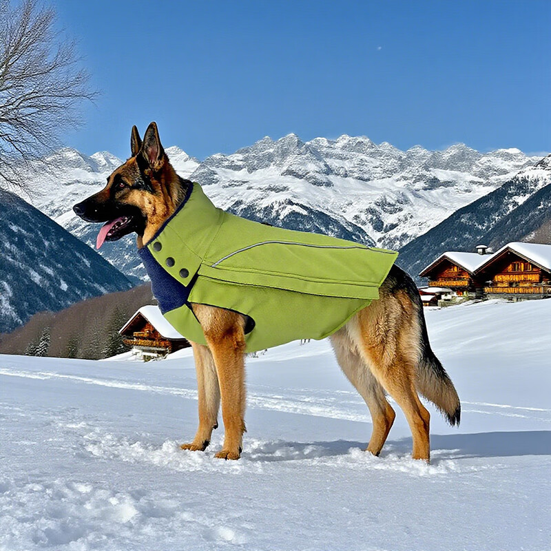 狗衣服冬装小型犬中大2025新款秋冬小体厚款防掉毛防水保暖冲锋衣 柠檬黄 XXS-衣长25.5(建议体重2-3公斤)