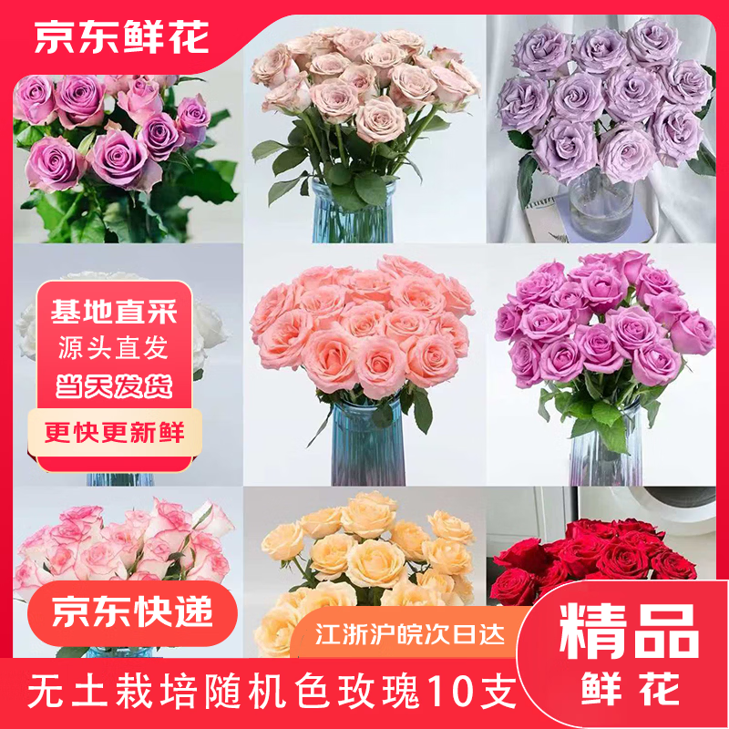 �����ʻ���Ʒ��������õ�����ɫ10֧װ ����Ԫ����������45-50CMԴͷֱ�� 21.9Ԫ