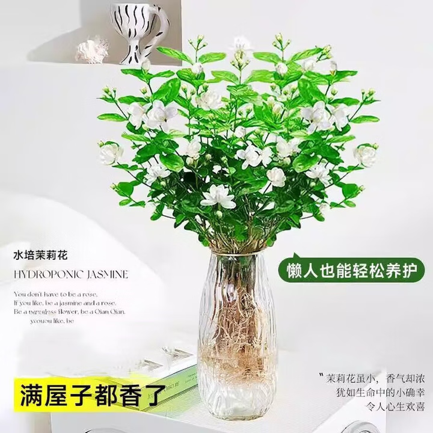 水培茉莉花盆栽好养驱蚊绿植浓香室内水培驱蚊四季植物水培茉莉 三颗