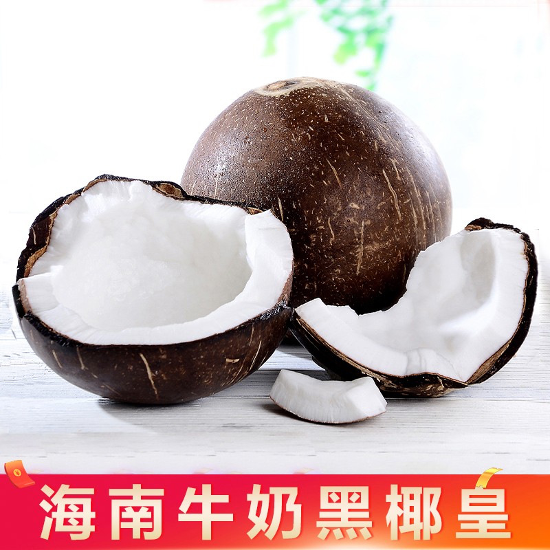 采缇海南牛奶黑椰椰皇 老椰子新鲜当季水果黑壳椰皇 4个装