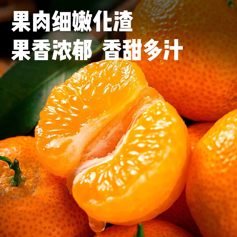 东鲜丰广西砂糖橘整箱沙糖桔橘子水果桔子新鲜时令水果 净重4.5斤精品果【手工甄选】